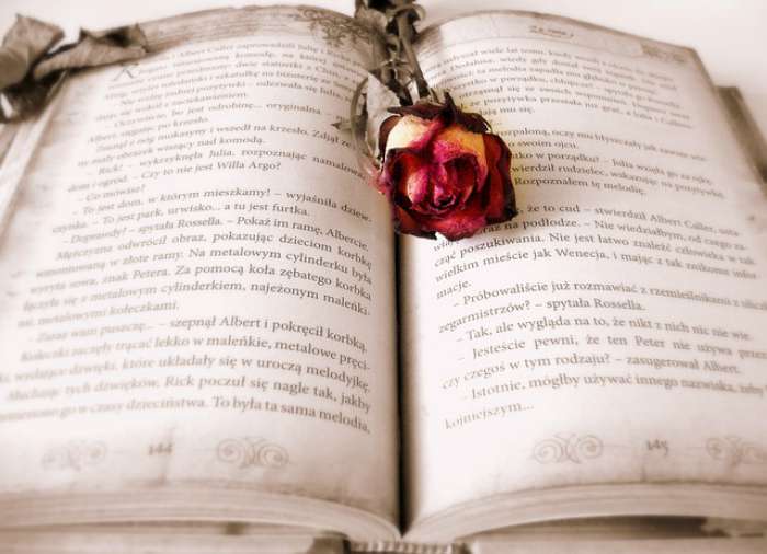 Book and Rose