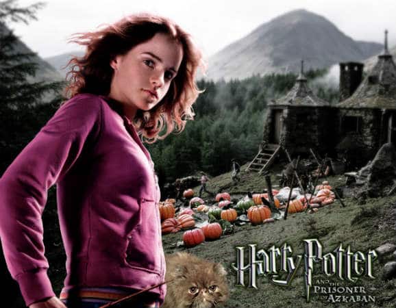 Hermione in harry potter; ya heroines