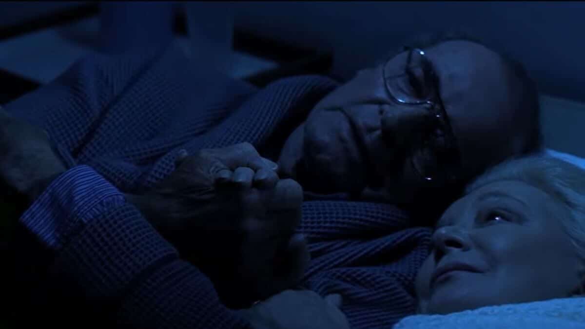 Noah and Allie older in The Notebook.
