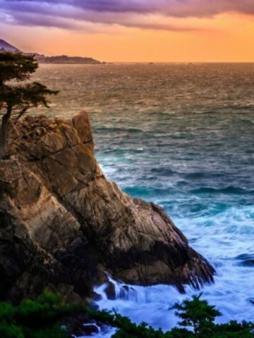 cropped-Monterey-The-Lone-Cypress-at-Sunset-from-the-17-Mile-Drive-By-Stephen-stock.adobe_.com-1.jpg