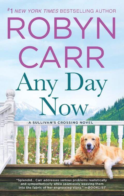 any day now book cover