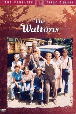 The Waltons poster