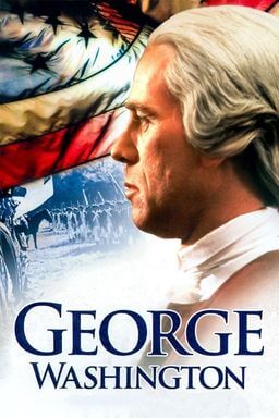 George Washington movie poster.