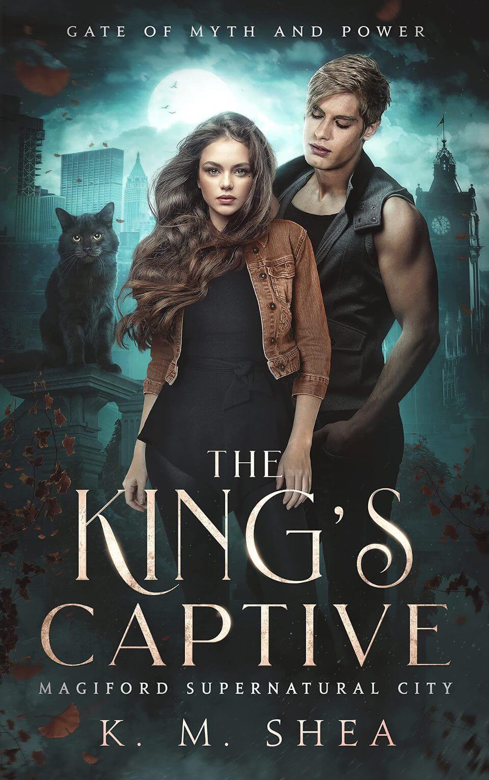 The King's Captive book cover
