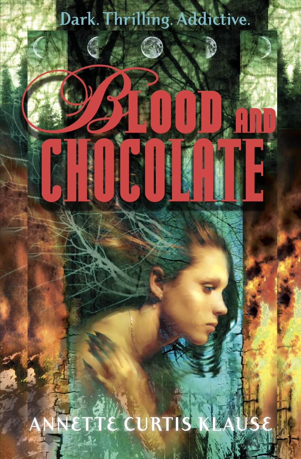 blood and chocolate book cover