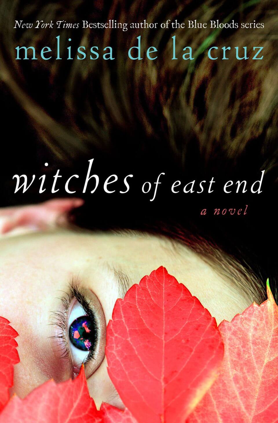 witches of east end book cover