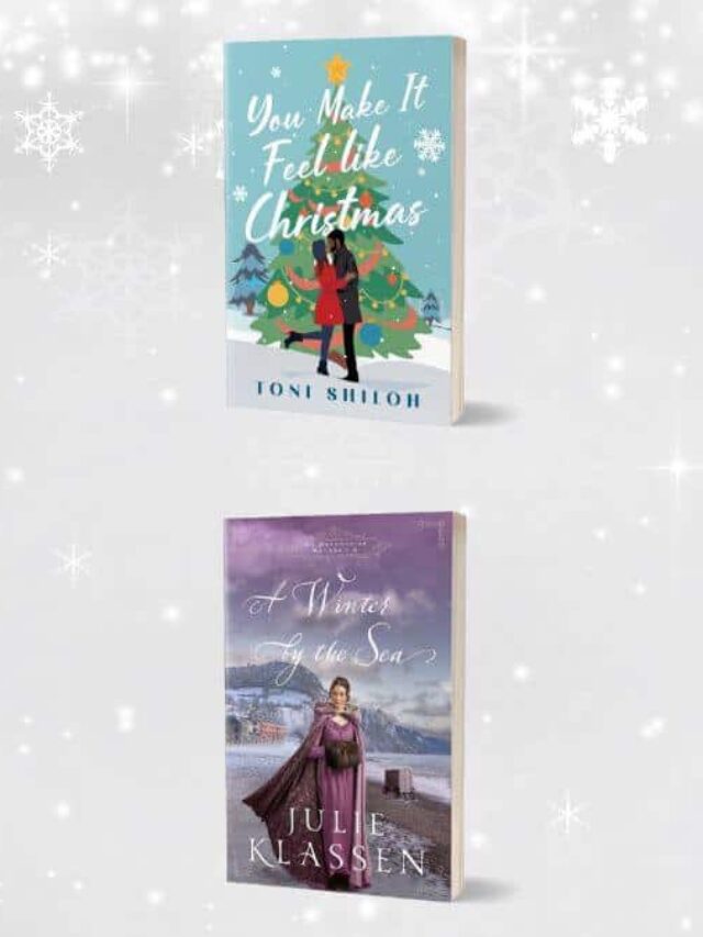 The Book Lover's Holiday Gift Guide: New Fiction for the Reader on Your List—or You!; featured image with collage of book covers and a silver, snowy background