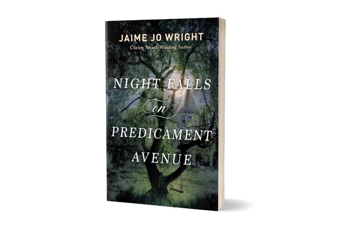 Night Falls on Predicament Avenue 3D book cover